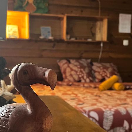 Dodo House Auberge De Jeunesse Saint-Leu Εξωτερικό φωτογραφία