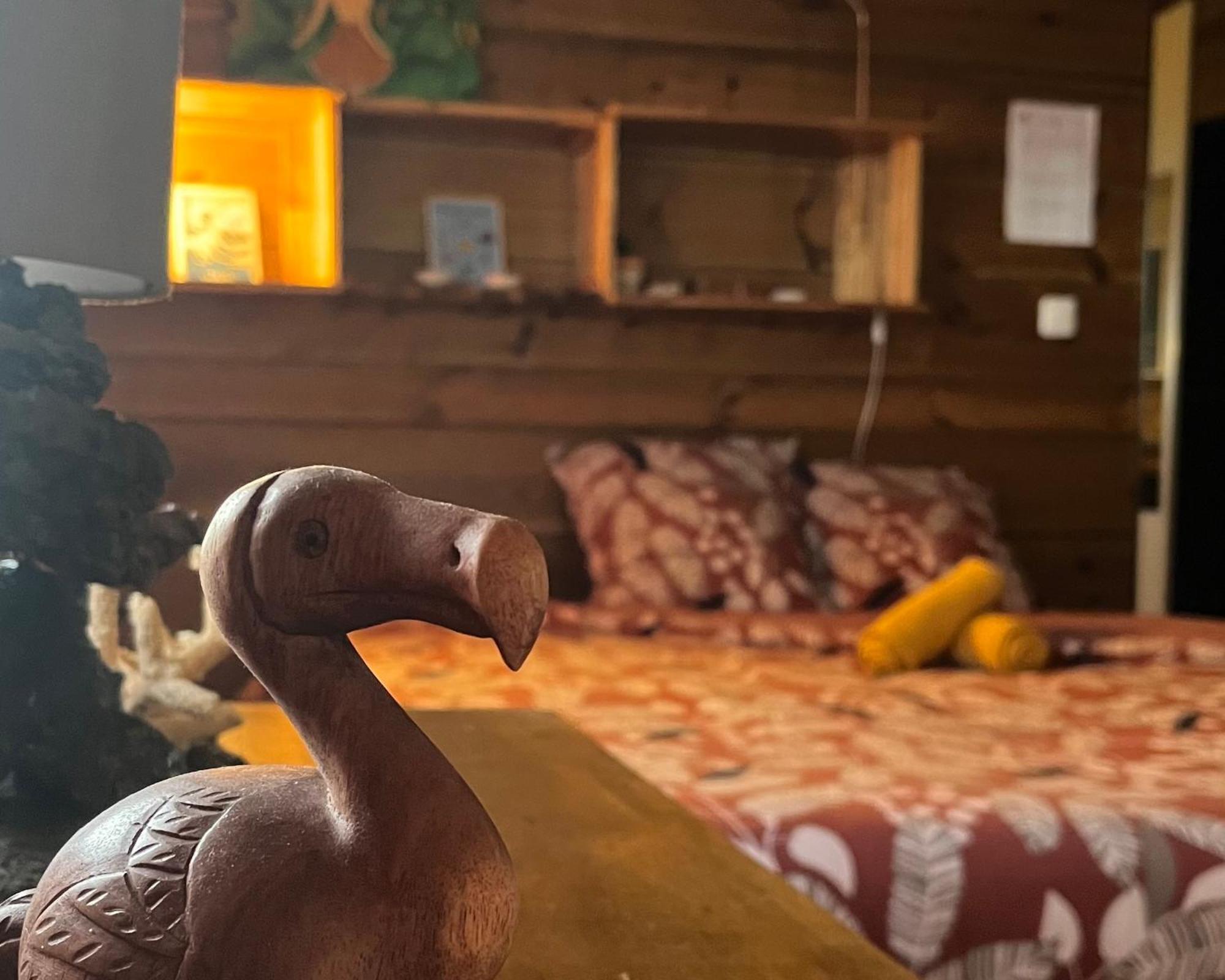 Dodo House Auberge De Jeunesse Saint-Leu Εξωτερικό φωτογραφία